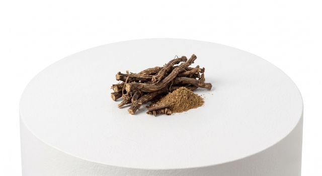 Black Cohosh Root Extract