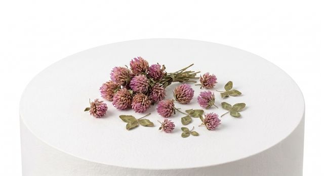 Red Clover Extract